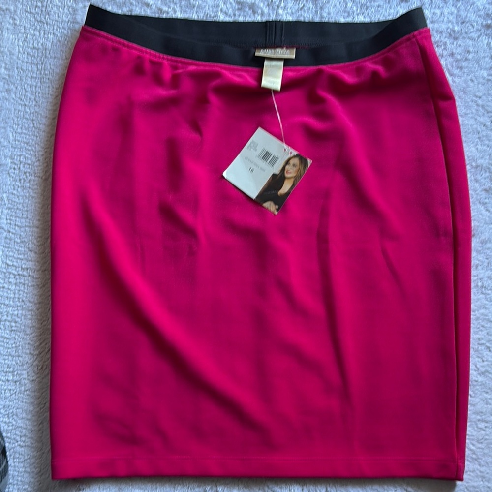 Elegant Pink Women's Skirt